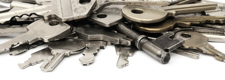  Juanjo Cerrajeros Alicante su especialista en Amaestramiento